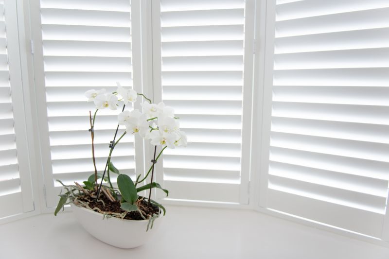 Shutter Mounting in Denver County, CO