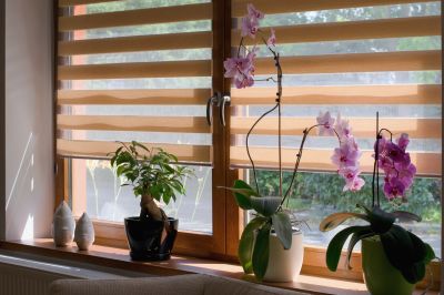 Plantation Blinds Installation in Arvada, CO